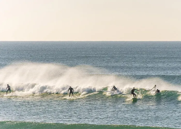 Ceyda * Aroeira (Setubal)